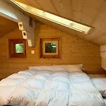 Pet-friendly In Veysonnaz