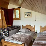 Pet-friendly In *