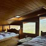 Pet-friendly In Veysonnaz