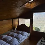 Pet-friendly In *