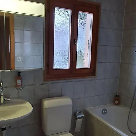 Pet-friendly In Veysonnaz