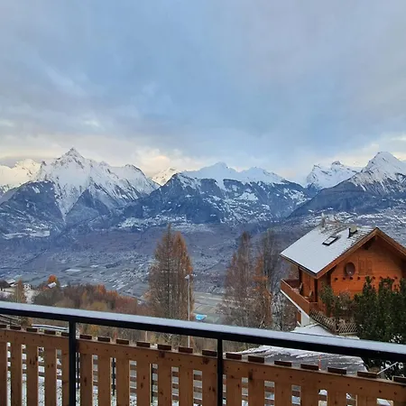 Pet-friendly In Chalet *