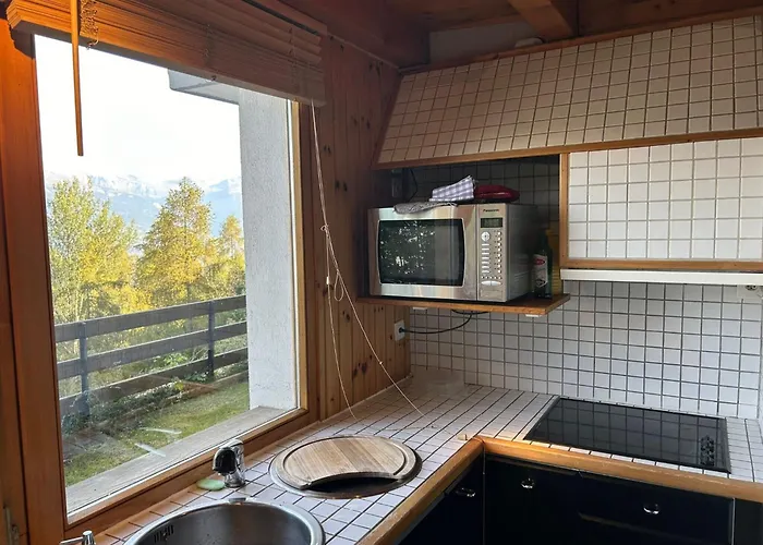 Pet-friendly In * Veysonnaz