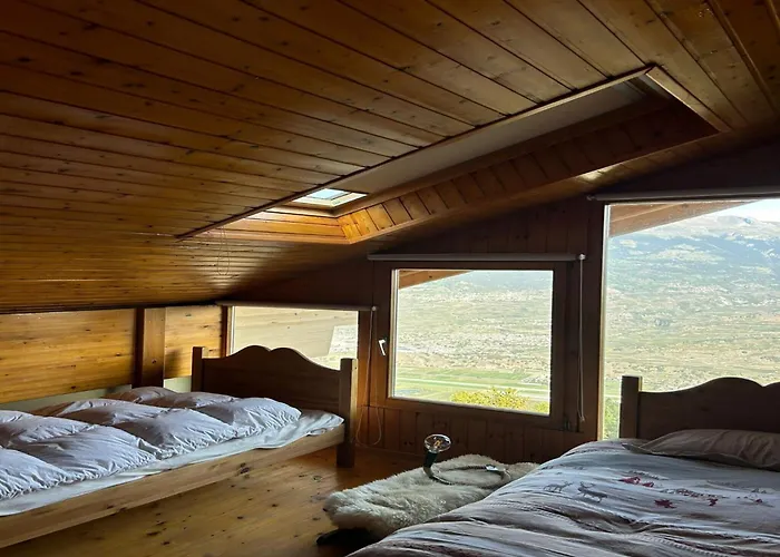 Pet-friendly In Veysonnaz