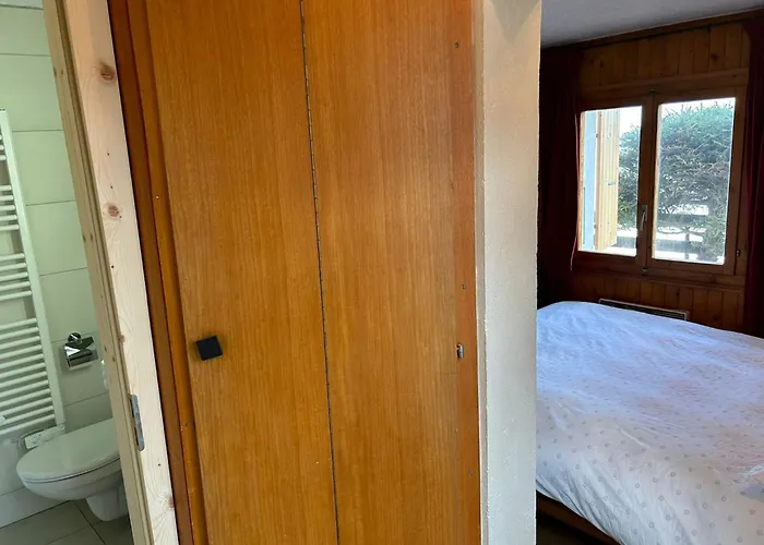 Pet-friendly In * Veysonnaz