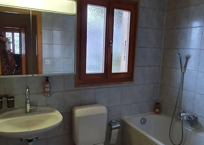 Pet-friendly In Veysonnaz