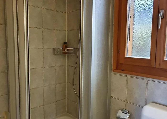 Pet-friendly In Veysonnaz