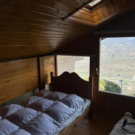 Pet-friendly In Veysonnaz