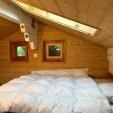 Pet-friendly In Domek alpejski Veysonnaz