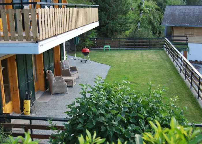 Pet-friendly In *